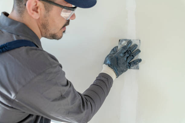 Best Mold Remediation for Rental Properties  in USA